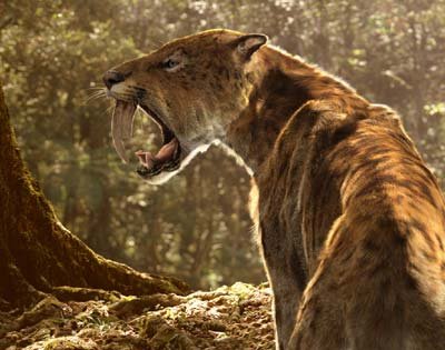 THE SMILODON, by Jana Rius Cabré E1E